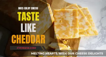 Colby vs. Cheddar: Unveiling the Flavor Similarities and Differences