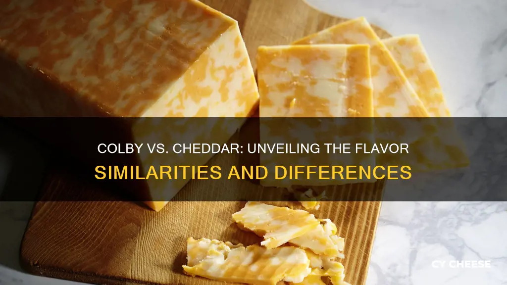 does colby cheese taste like cheddar