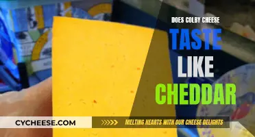 Colby Cheese vs Cheddar: What's the Difference in Taste?
