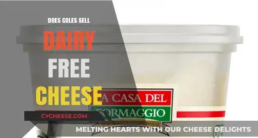 Coles' Dairy-Free Cheese Options: What You Need to Know