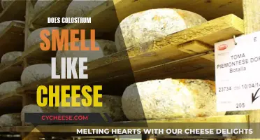 Colostrum's Cheesy Odor: Why Does It Smell Like That?