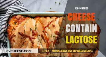 Cheese and Lactose: Does Cooking Affect Lactose Content?