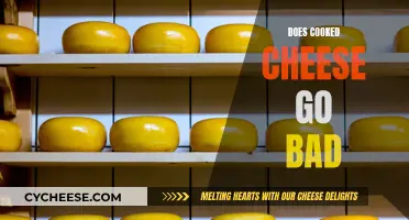 Cheese Storage: How Long Does Cooked Cheese Last?