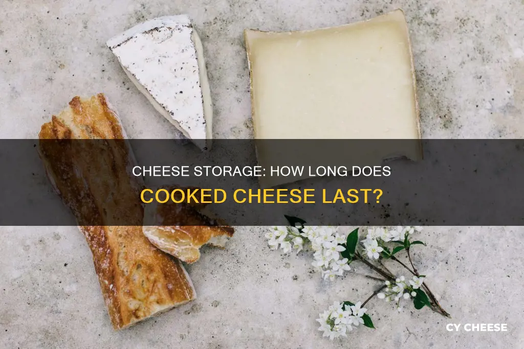 does cooked cheese go bad