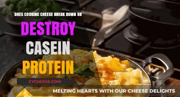Cheese Conundrum: Cooking and Casein Protein