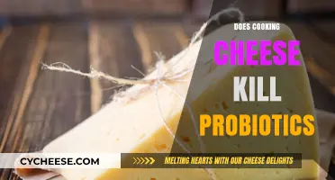 Cooking Cheese: Probiotics' Fate