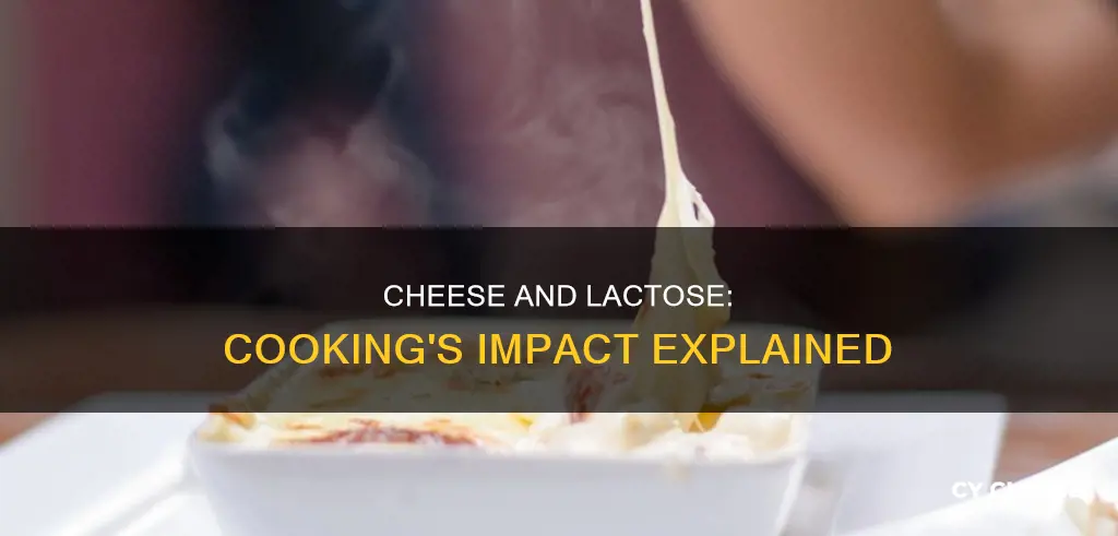 does cooking cheese lower lactose