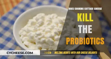 Cooking Cottage Cheese: Does Heat Destroy Its Probiotic Benefits?