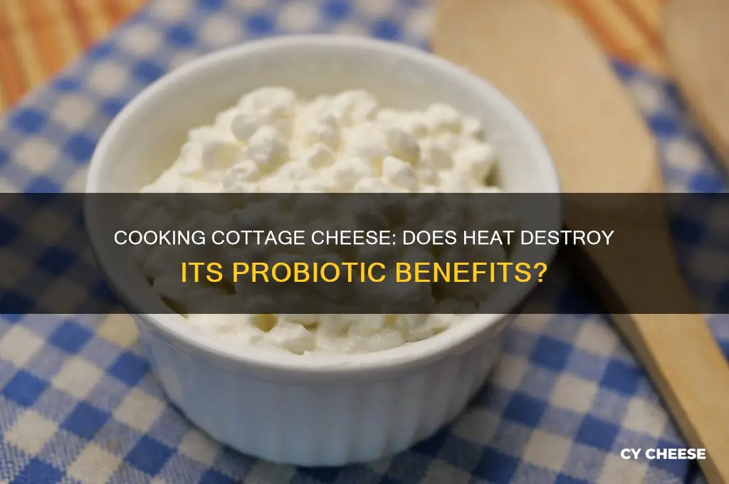 does cooking cottage cheese kill the probiotics