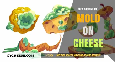 Cooking Moldy Cheese: Is It Safe?