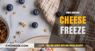 Can Cottage Cheese Be Frozen? Tips and Best Practices