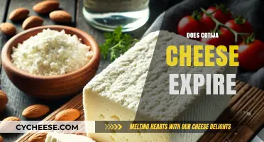 Does Cotija Cheese Expire? Shelf Life and Storage Tips Explained