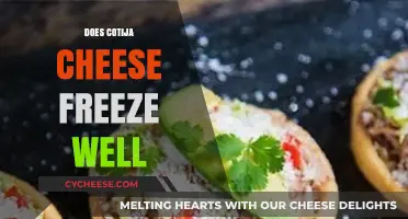 Can Cotija Cheese Be Frozen? Tips for Preserving Its Texture and Flavor