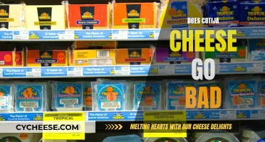 Cotija Cheese: How Long Does it Last?