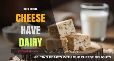 Is Cotija Cheese Dairy-Free? Uncovering the Truth About Its Ingredients