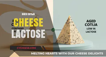 Does Cotija Cheese Contain Lactose? A Comprehensive Guide