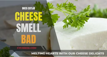 Cotija Cheese: Why the Smell is Strong?