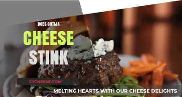 Does Cotija Cheese Stink? Unraveling the Truth About Its Aroma