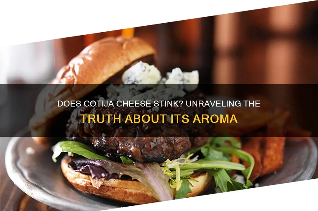 does cotija cheese stink