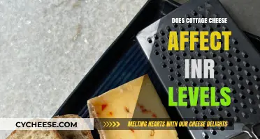 Cottage Cheese and INR Levels: What You Need to Know