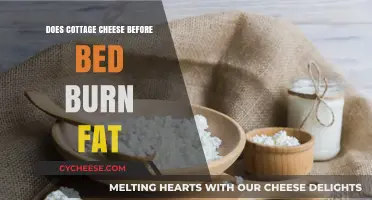 Cottage Cheese Before Bed: Fat-Burning Myth or Sleep-Time Snack?