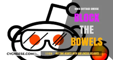 Cottage Cheese and Constipation: Fact or Fiction? Unblocking the Truth