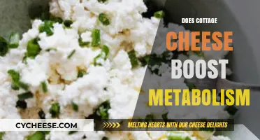 Can Cottage Cheese Boost Your Metabolism? Unlocking Its Potential