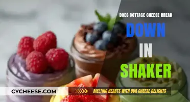 Does Cottage Cheese Break Down in a Shaker? Find Out Now!