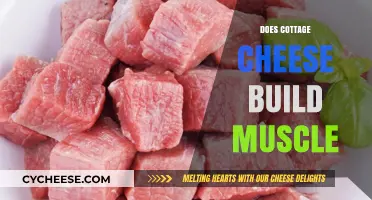 Cottage Cheese for Muscle Growth: Fact or Fiction?