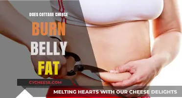 Cottage Cheese and Belly Fat: Myth or Effective Weight Loss Tool?