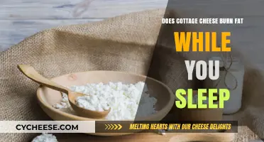 Cottage Cheese Before Bed: Does It Boost Overnight Fat Burning?