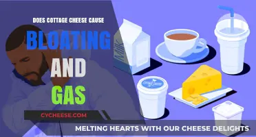 Cottage Cheese and Digestive Issues: Bloating and Gas Explained