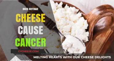 Cottage Cheese and Cancer: Separating Fact from Fiction