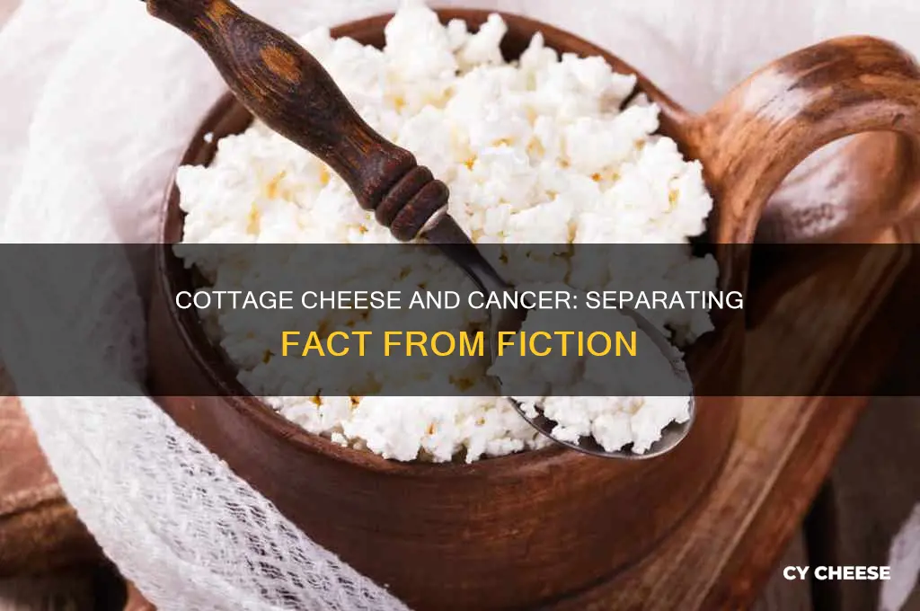 does cottage cheese cause cancer