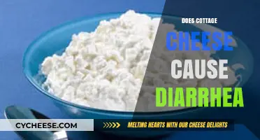 Cottage Cheese and Diarrhea: Unraveling the Digestive Truth