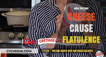 Cottage Cheese and Gas: Unraveling the Flatulence Myth
