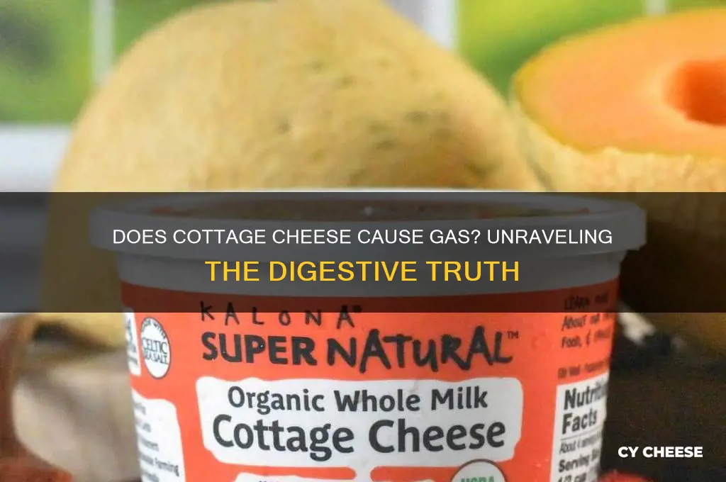 does cottage cheese cause gas