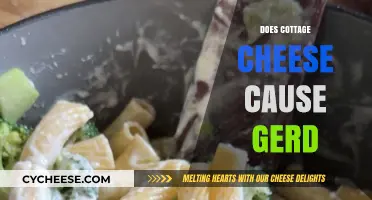 Cottage Cheese and GERD: Unraveling the Truth Behind Acid Reflux