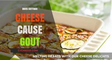 Cottage Cheese and Gout: Unraveling the Dietary Connection