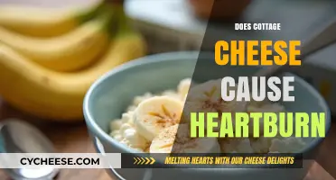 Cottage Cheese and Heartburn: Unraveling the Truth Behind the Myth