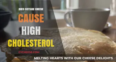 Cottage Cheese and Cholesterol: Debunking Myths for Heart Health