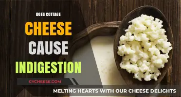 Cottage Cheese and Indigestion: Unraveling the Digestive Truth
