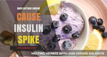 Cottage Cheese and Insulin: Does It Spike Blood Sugar Levels?