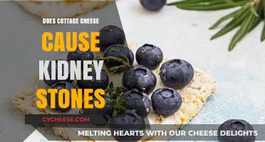 Cottage Cheese and Kidney Stones: Unraveling the Dietary Connection