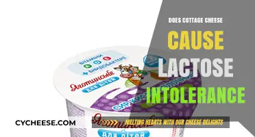 Cottage Cheese and Lactose Intolerance: What You Need to Know