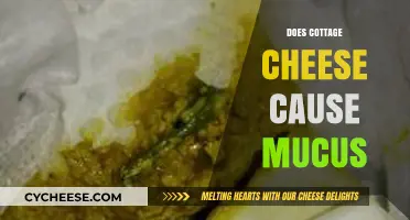 Cottage Cheese and Mucus: Separating Fact from Fiction