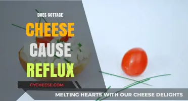 Cottage Cheese and Reflux: Unraveling the Truth Behind the Myth