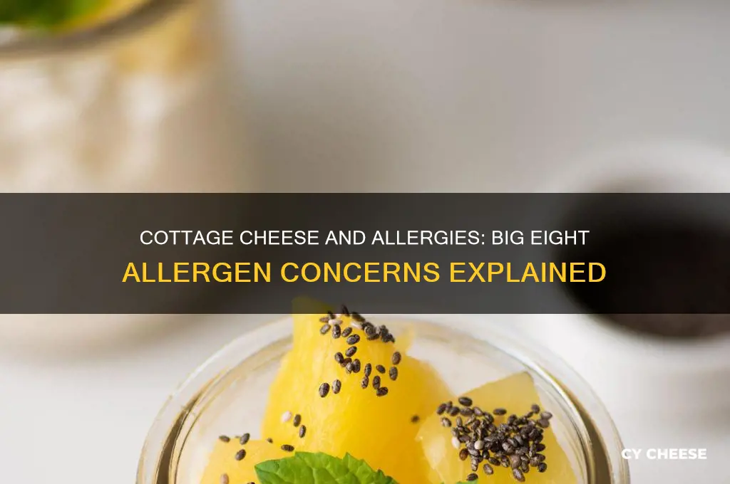 does cottage cheese contain a big eight allergen