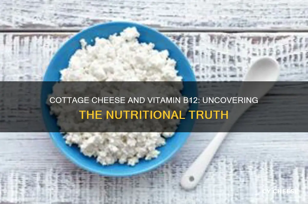 does cottage cheese contain b12