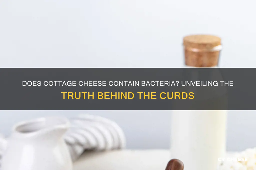 does cottage cheese contain bacteria